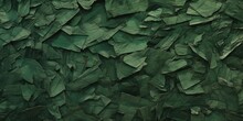 Green Wood Chips, Wood Shavings, Texture, Background