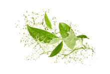Green Tea Drink With Leaves And Splash Drops For Drink Beverage, Realistic Vector. Green Tea Leaf In Water Swirl Or Long Flow And Splash Spill For Soda Drink Or Fresh Sparkling Lemonade In Pour Drops