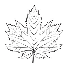Wall Mural - Contour drawing of a maple leaf. Autumn leaf
