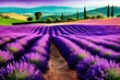 Lavendelfelder Landschaft in der Toskana