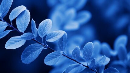 Wall Mural - Blue plant leaves in fall season: a stunning nature photography with blue background