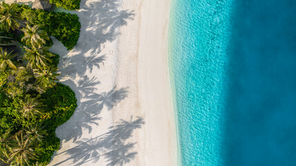 Wall Mural - Best wide aerial beach landscape. Popular destination amazing panorama. Calm waves crash tropical exotic paradise island coast. Top drone view, palm tree shadows, sunshine vacation. Majestic nature