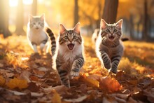 Three Cute Kittens Run Through Foliage Of A Forest In Autumn Generative Ai