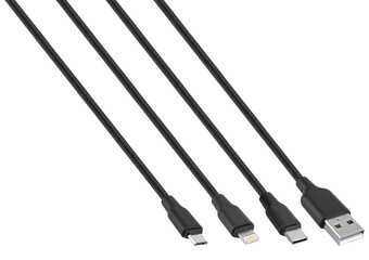 Wall Mural - cable with USB connector, Type-C, Lightning