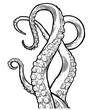 © Very Well Studio - Tentacles of octopus, hand drawn collection of illustrations. Black and white engraving style drawings. Tentacle straight and with rings in different angles.