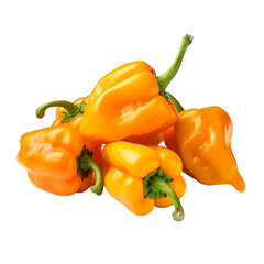 Wall Mural - Fiery Orange Habanero Peppers Isolated on White Background
