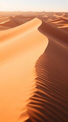 Wall Mural - Aerial perspective of a vast desert with golden dunes casting long evening shadows. a beautiful and marvelous surreal landscape of nature. generative AI