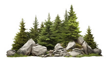 Spruce Forest With Rocks, Png File Of Isolated Cutout Object On Transparent Background.