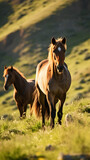 Wild horses grazing on a hillside, aspect-ratio 9:16, mobile background, landscape background, nature background