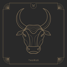 Taurus Zodiac Astrology Antique Golden Line. Art Deco Vintage Card Design With Black Background. Vector Illustration. Bull Animal Character Celestial Constellation Future Prediction.