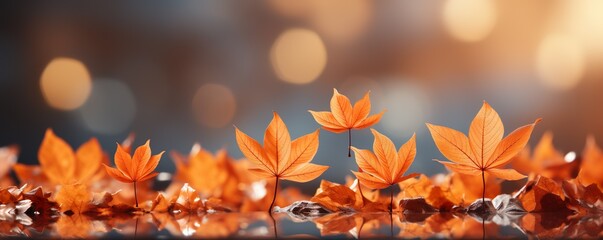 Wall Mural - Colorful universal natural panoramic autumn background for design with orange leaves and blurred background | Generative AI