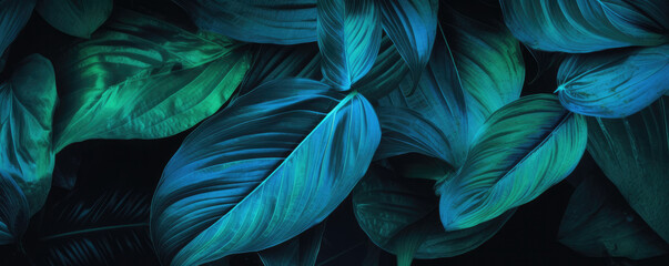 Blue green lush tropical leaves on a dark black background - Graphic resource backdrop