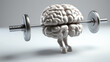 © vefimov - White brain lifting barbell. This image can be used to represent strength, intelligence, and mental fitness.