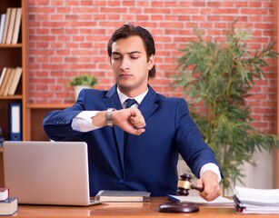 Wall Mural - Young handsome lawyer working in his office