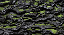 Green Algae Growing On Black Shingle, In The Style Of Tabletop Photography
