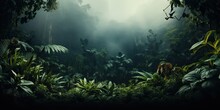 Fresh Exotic Jungle Background With Lots Of Copy Space