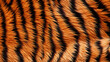 © Alexandre - textura pelo de tigre