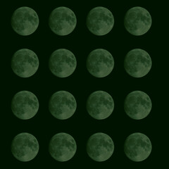 Wall Mural - 16 moons 9-27-2023 waxing gibbous 88 percent illumination - green tint with mesh screen effect