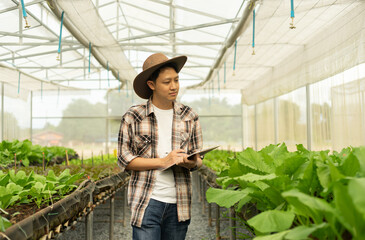 Asian smart farmer holding clipboard while checking vegetable in the organic farm. Agricultural entrepreneur who started a vegan farming business.