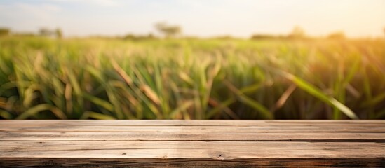 Canvas Print - Vivid image of a brown wooden table with a blurry sugarcane plantation background