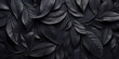 a black background with black leaves