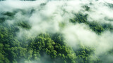 上空から見た霧に包まれた森の風景