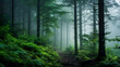 霧のかかった林の中の道