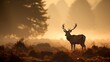 © Meow Creations - Red Deer Cervus elaphus in the morning mist.