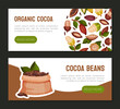 Cocoa Bean Banner Design with Brown Pod and Green Leaf Vector Template