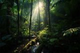Fototapeta Natura - Mysterious forest in the light of the morning sun