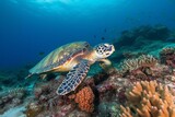 Fototapeta Do akwarium - Stunning sea turtle exploring vibrant coral reefs. Generative AI