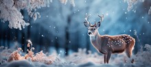 Christmas Winter Landscape With Snow Drifts, Mountain Village, Deer, Forest, Pines, Reindeer. Holiday Nature Background With Fox, Hills, Houses.
