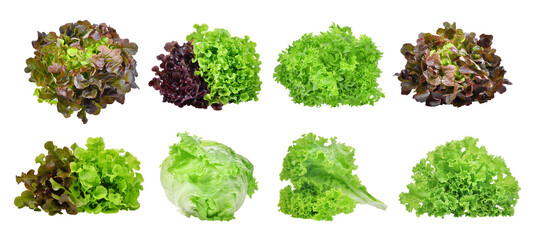 Wall Mural - set of lettuce vegetable isolated, png