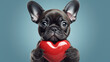 Funny portrait of a cute puppy with a red heart. ai generative