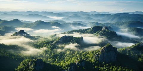 Wall Mural - A view from a height of a mountain peak with green trees in the fog. Aerial view. Panoramic shot