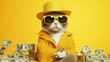 A cat wearing a yellow hat and sunglasses
