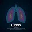 Human lung medical structure. Vector logo lungs color silhouette on a dark background. Lungs care logo vector template - EPS 10