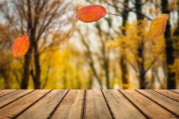 Sticker - The empty blank wooden table with background of autumn, AI generated image