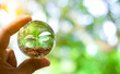 A hand holding crystal ball with growing of tree for eco friendly or sustainable resources concept. Saving environment from global warming.