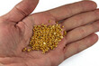A bunch of gold pellets on a man's palm. On white background.