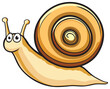 Cartoon styled snail on a white background