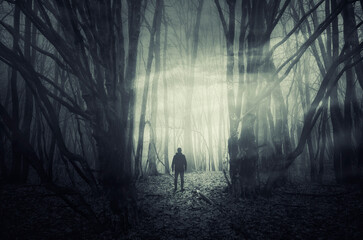 Wall Mural - mysterious surreal woods landscape with man silhouette