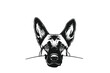 Curious Belgian Malinois Peek: A Vector Illustration of an Inquisitive Canine Gazing