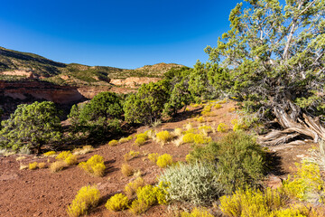 Wall Mural - Virew of Colorado National Monumnet from Rim Rock Drive