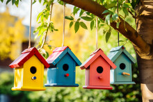 Group Of Colorful Bird Houses Hanging From Tree Branch.