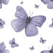 Seamless pattern of watercolor illustration of a male lilac butterfly Gonepteryx rhamni. Made by hand on a transparent background