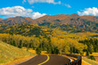 © Randy - Rocky mountain aspen forests on Pike's Peak in Colorado during the the autumn months when the aspen leaves loose their green chlorophyll and return to the leave's natural color