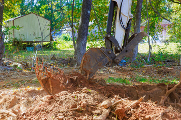 Wall Mural - Worker uses an excavator to uproot trees as part of preparation ground for construction