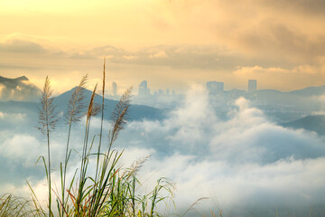 Wall Mural - Wonderful dreamy sunrise on the rocky mountains, in the distance is a coastal city submerged in a sea of clouds