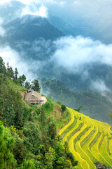 Wall Mural - Terraced fields in Mu Cang Chai, Yen Bai province, Vietnam